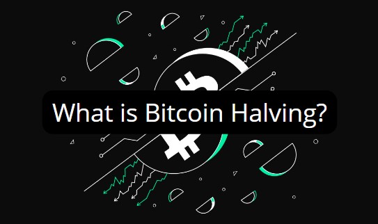 What is Bitcoin Halving?