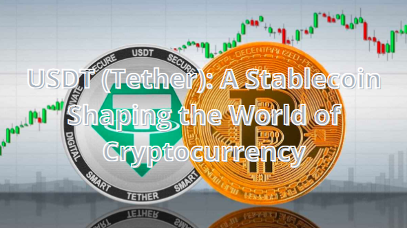 A Stablecoin Shaping the World of Cryptocurrency